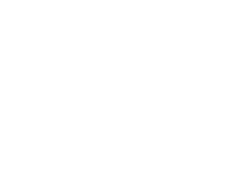 LionCreative Logo_White_Lion Creative